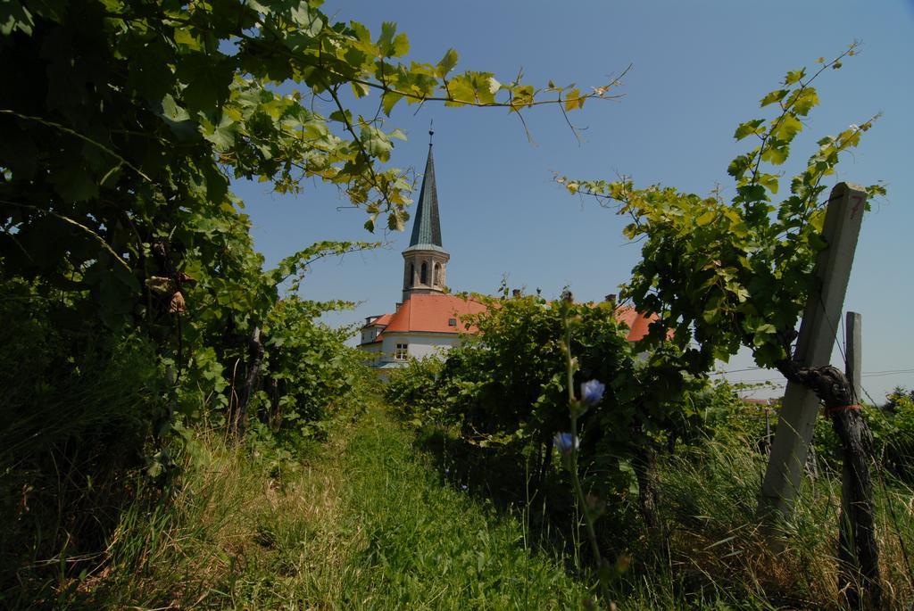Winzerhotel Gumpoldskirchen Exteriér fotografie